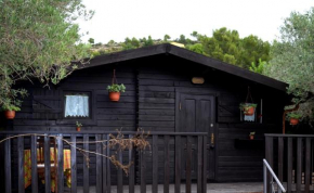The Fool and The Princess ~Wooden Houses~